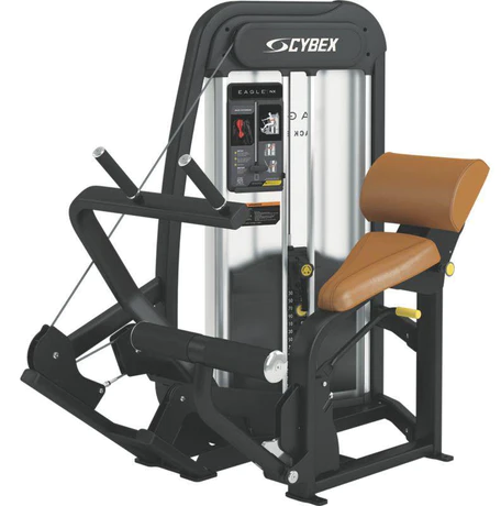 CYBEX EAGLE NX BACK EXTENSION SELECTORISED Review