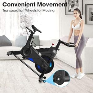 Yoleo Indoor Cycling Bike Magnetic Resistance Exercise Bike, 352LBS - Spinning Bike Review